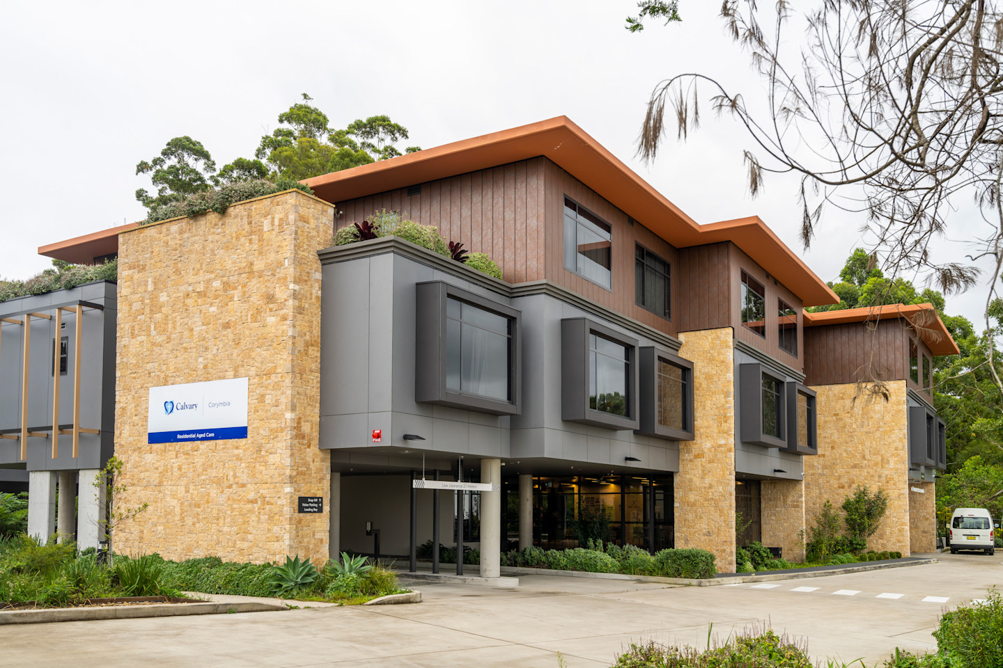 RAC-images-corymbia-01