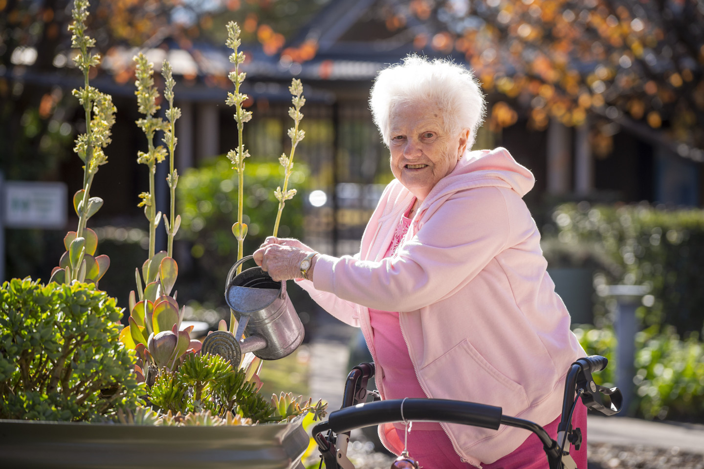 RAC-images-cessnock-02