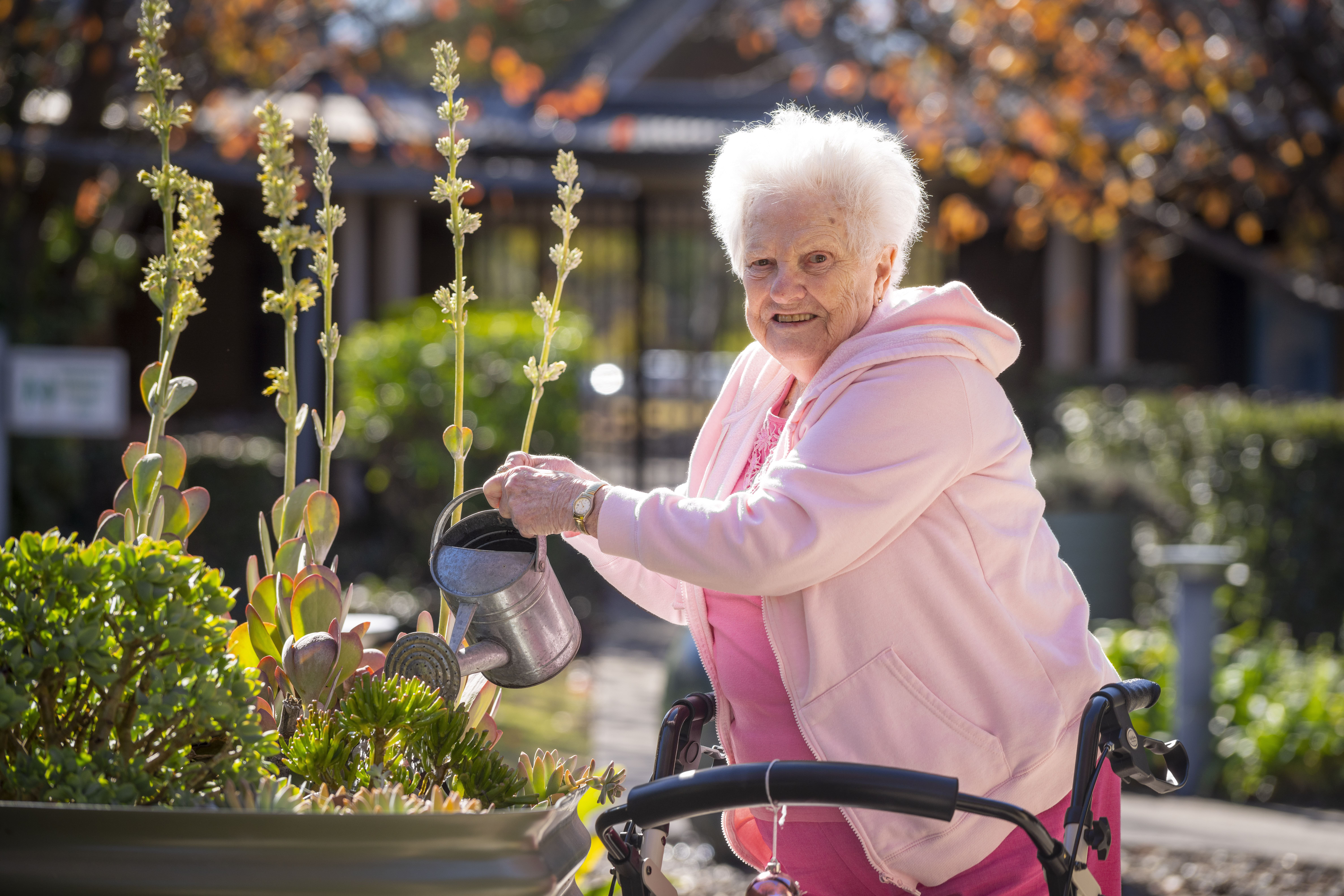 RAC-images-cessnock-02