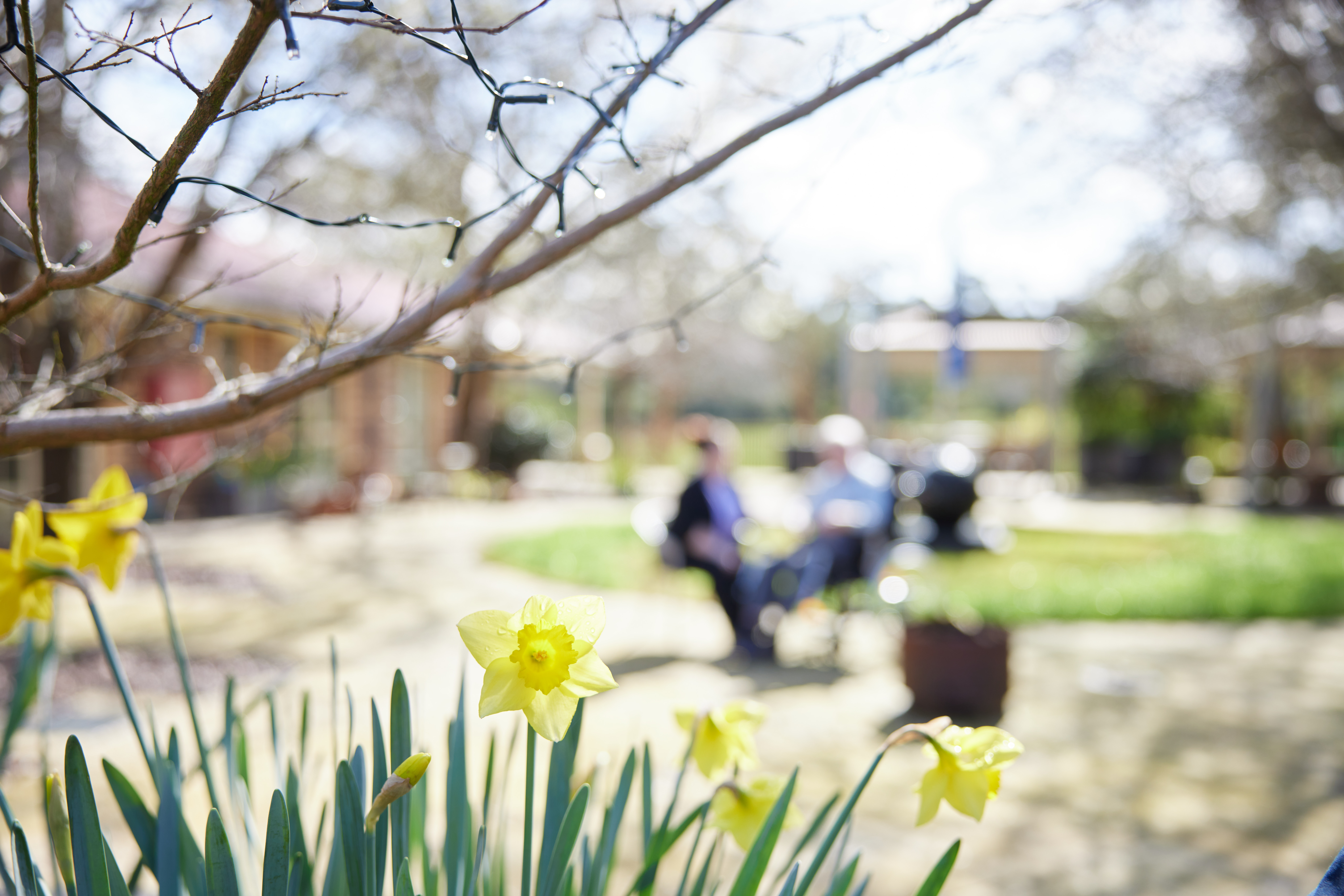 RAC-images-narracan gardens-01