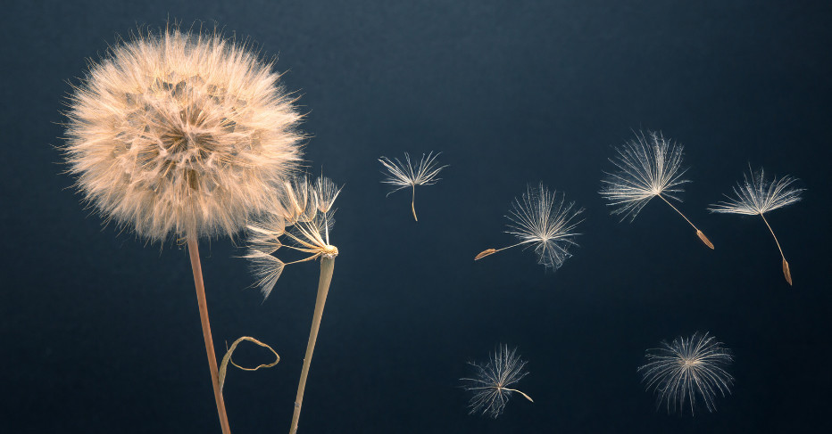 riverina-centenary-event page hero-memorial service