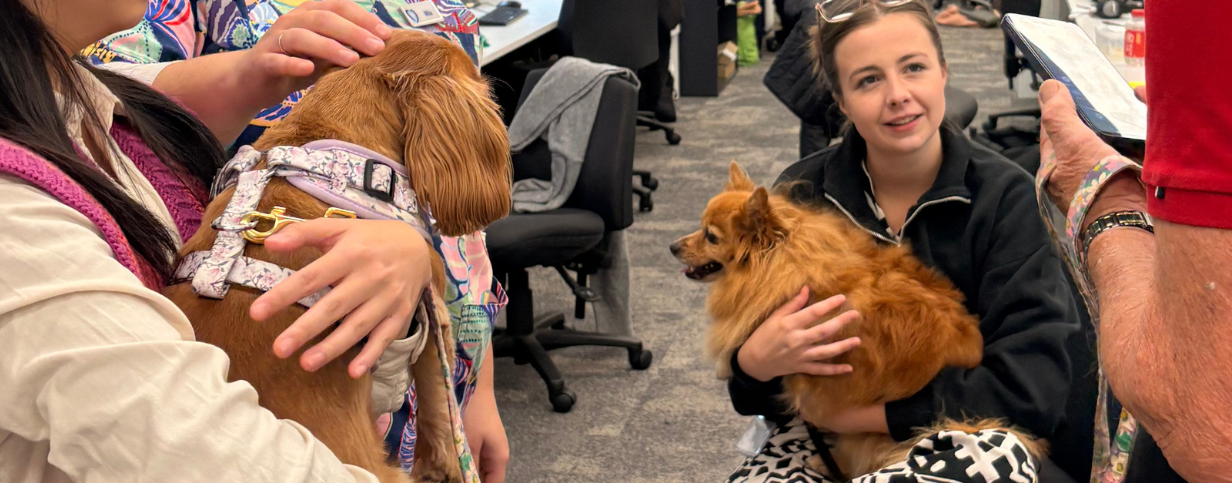news-carousel image-volunteer-pet-therapy-at-calvary-kooyong-01