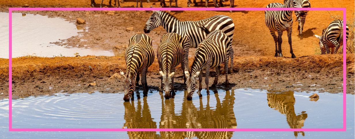 1232 x 483 image carousel 1.3