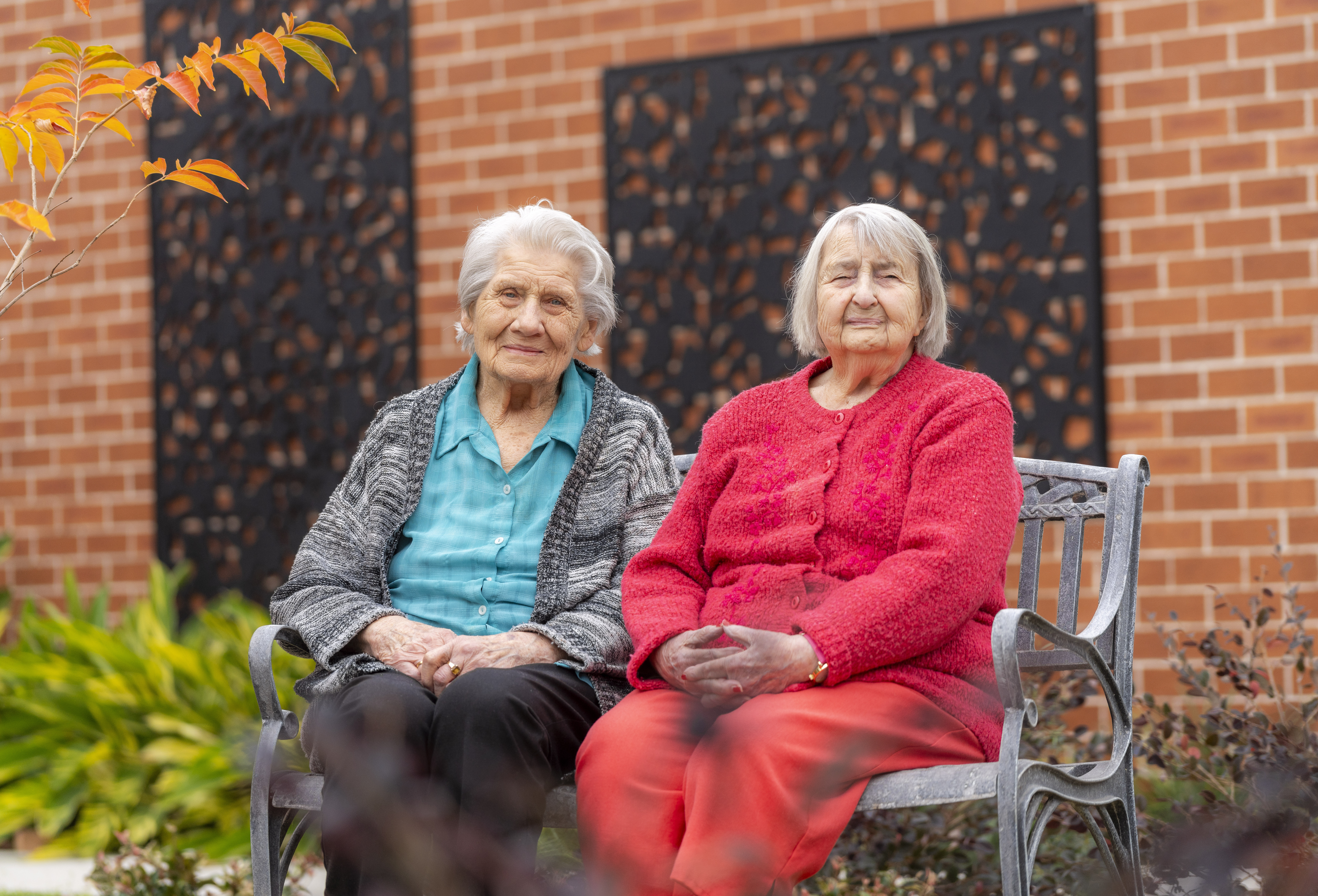 RAC-images-st francis-01