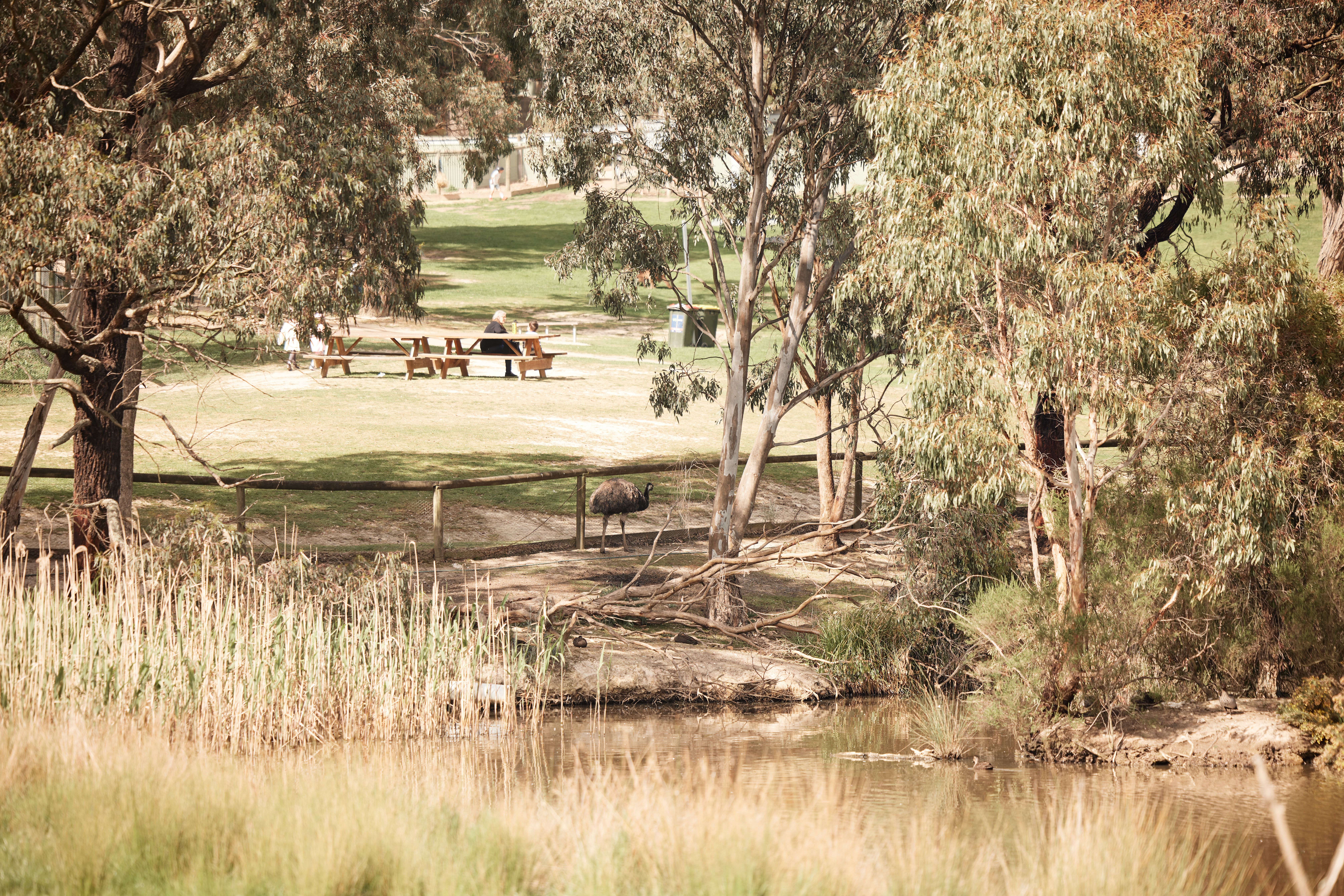 RAC-images-kirralee-02