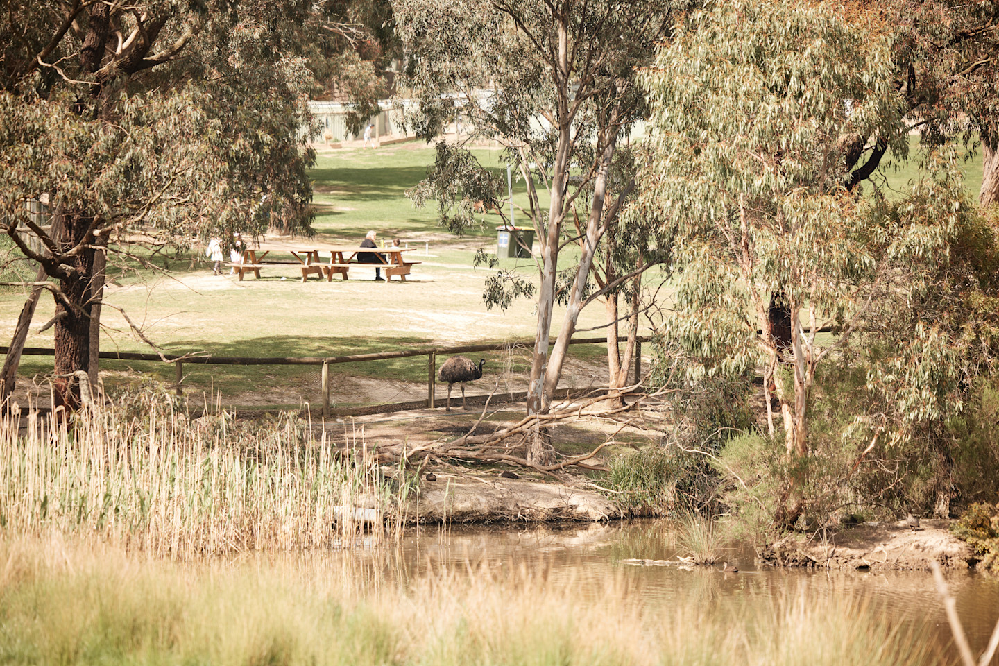 RAC-images-kirralee-02