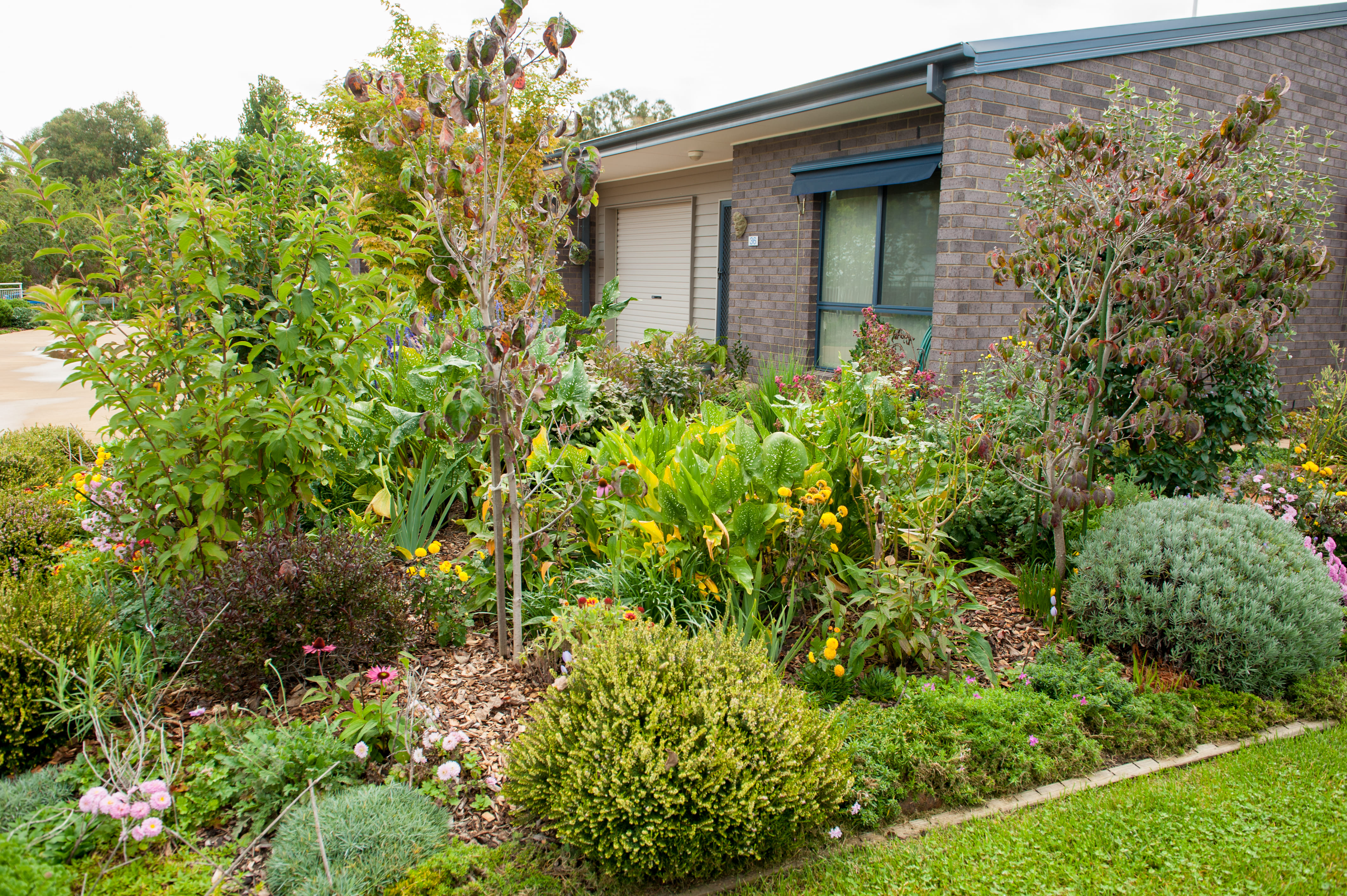 retirement-images-haydon-06