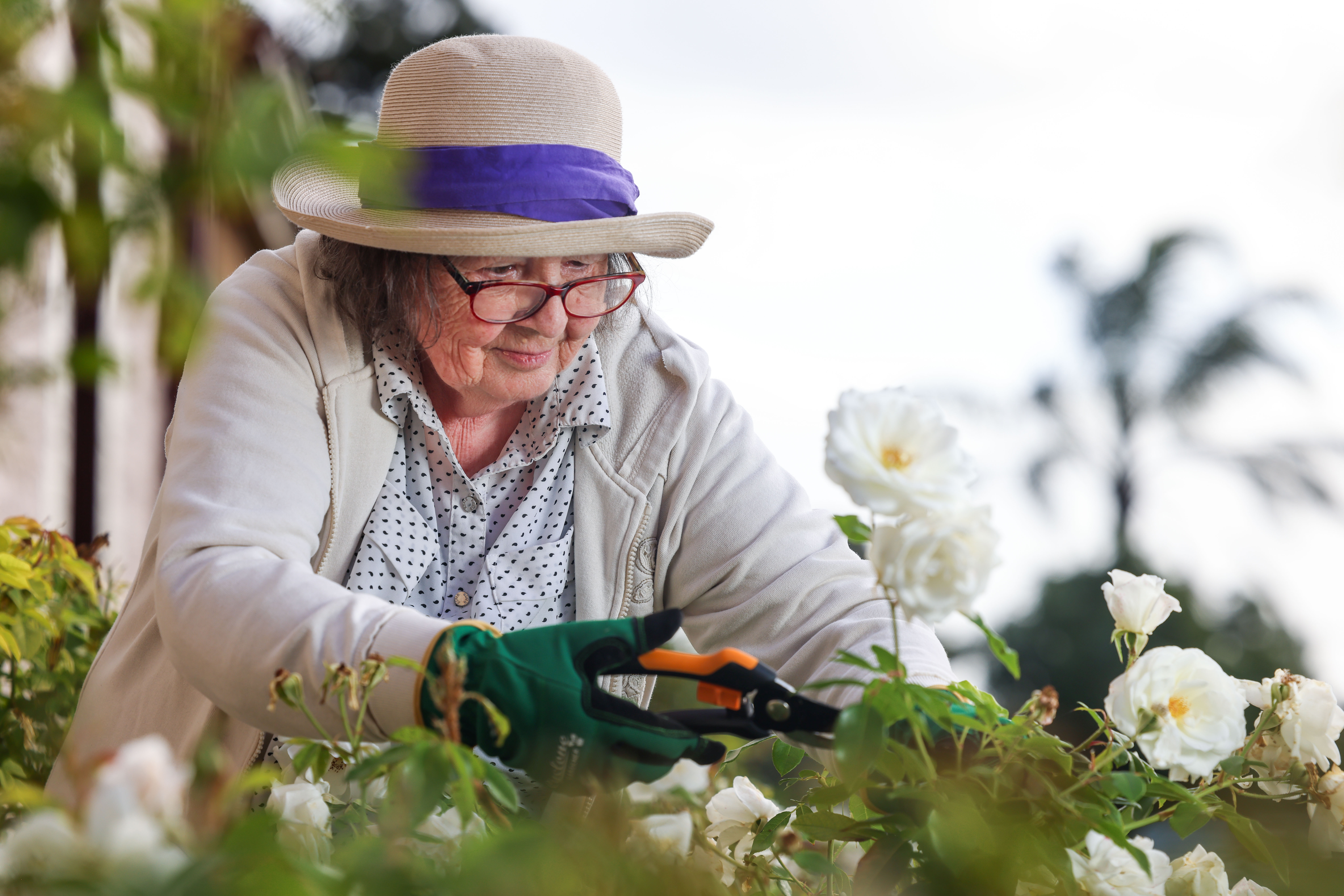 RAC-images-trevu house-01