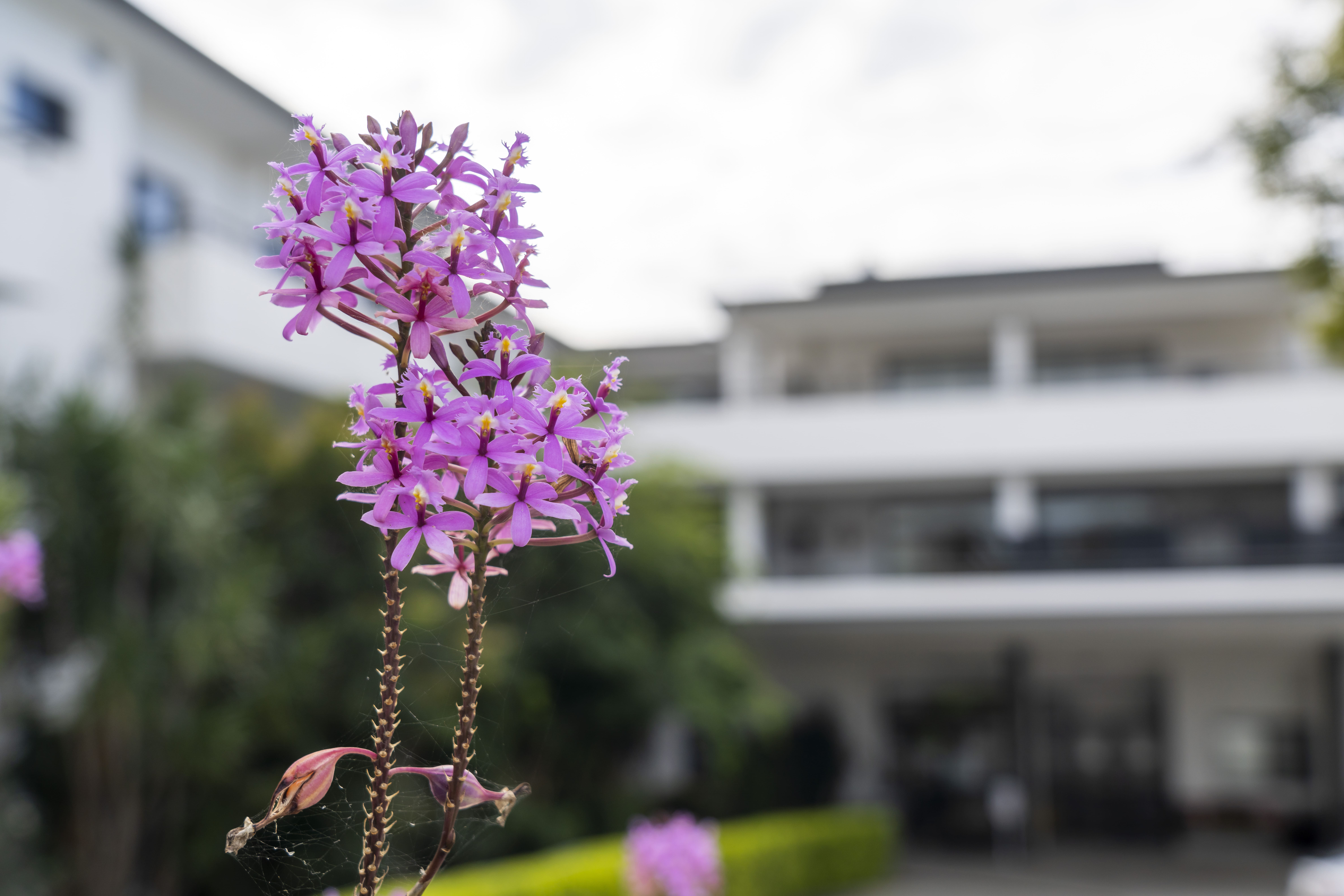 RAC-images-the mariner-01