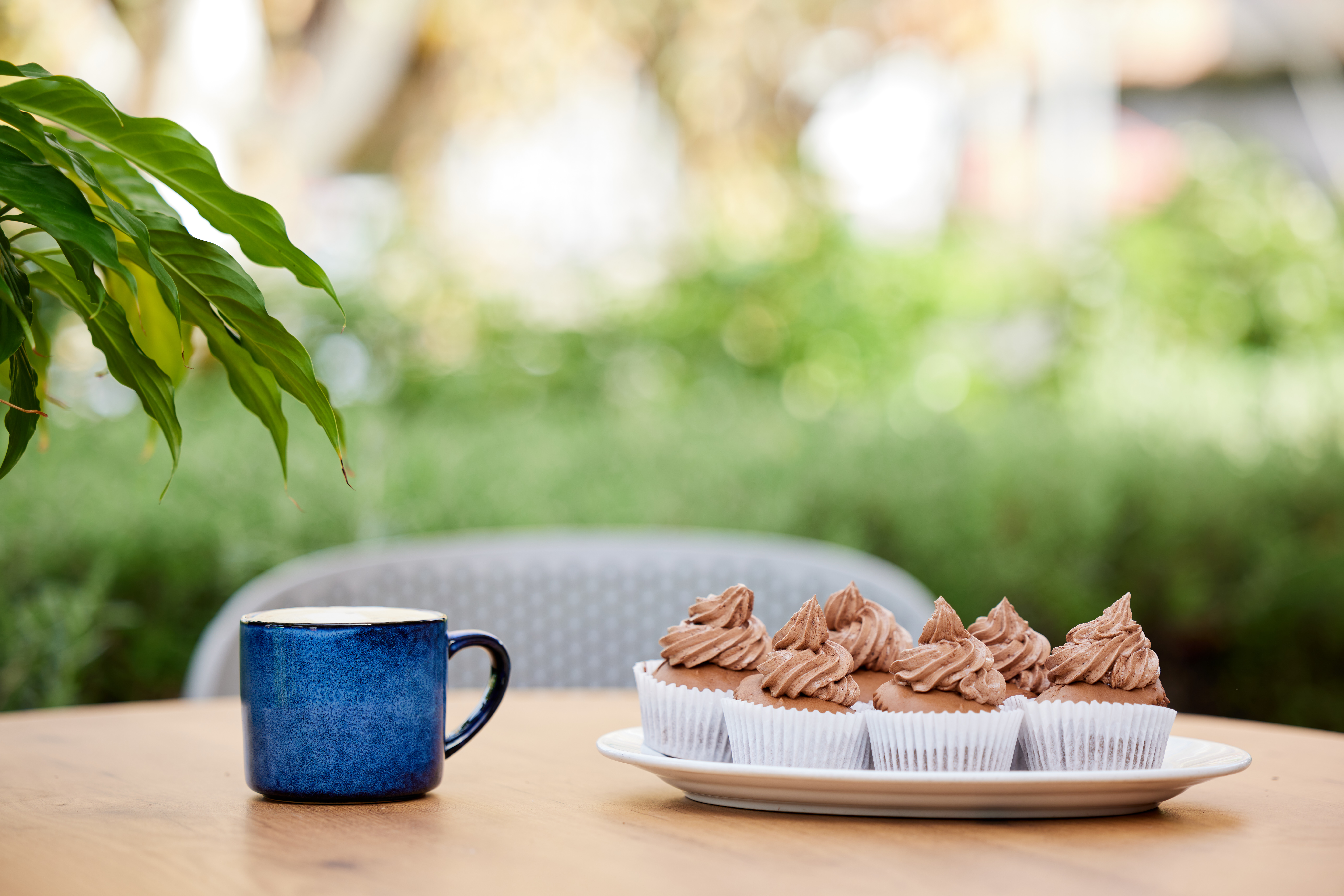 RAC-images-strezelecki house-08