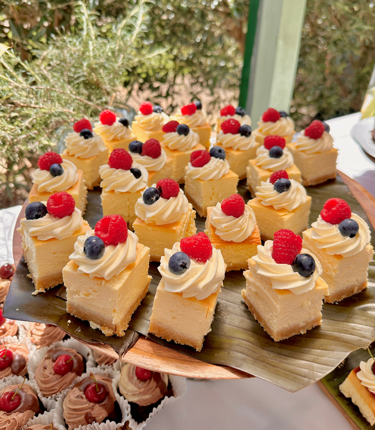 Dan Castillo | Calvary Vonlea Manor’s face behind the food- image 03