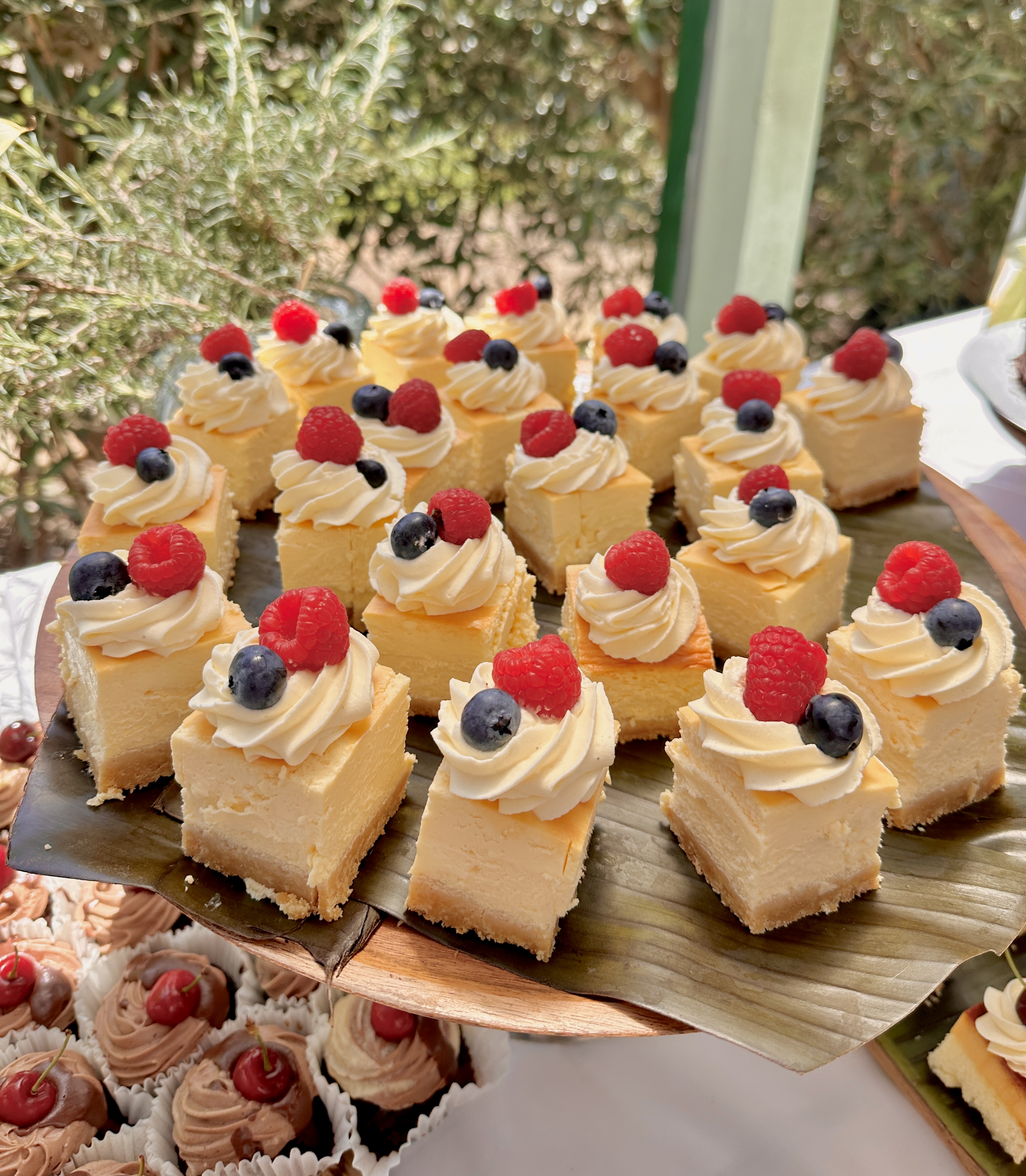 Dan Castillo | Calvary Vonlea Manor’s face behind the food- image 03