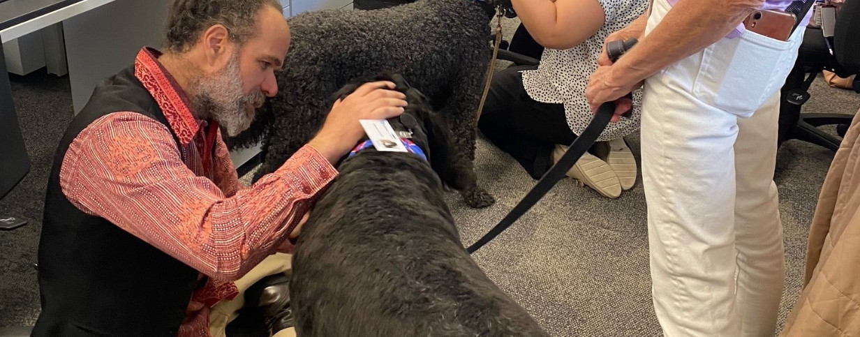 news-carousel image-volunteer-pet-therapy-at-calvary-kooyong-04