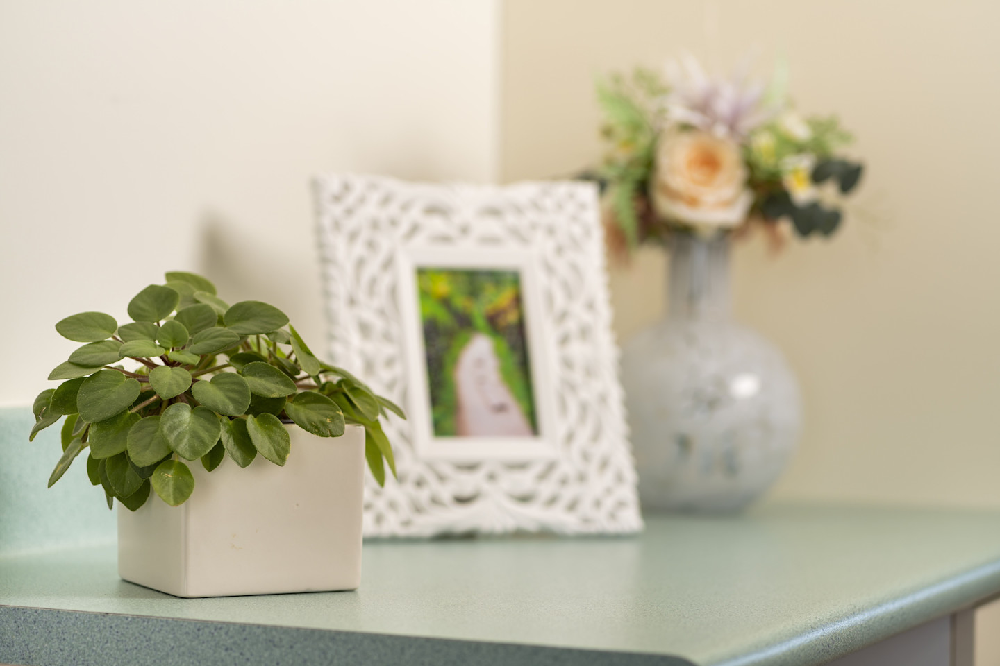 RAC-images-mt carmel-08