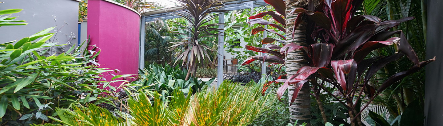 pallitiave-end-of-life-care-page image