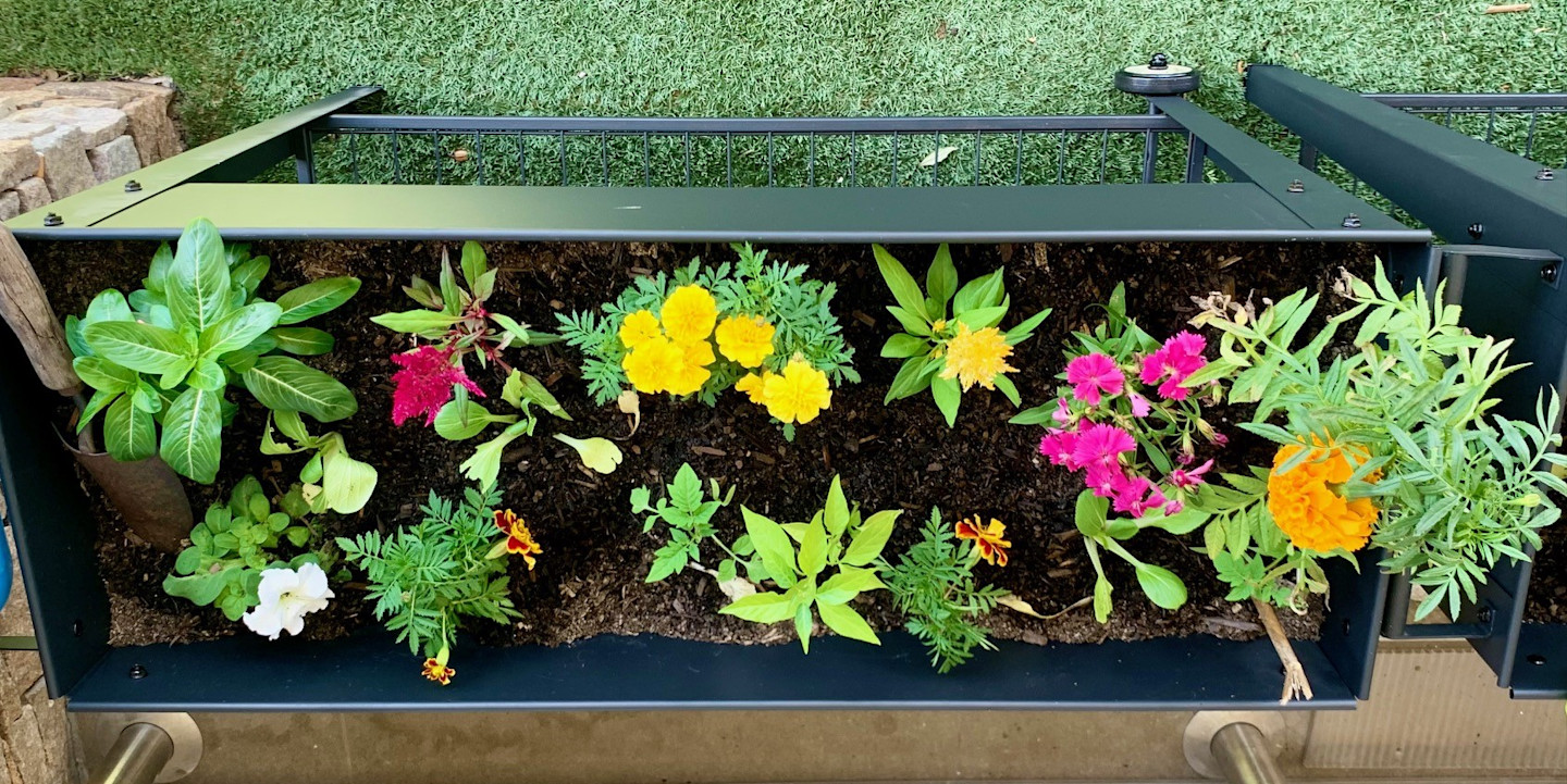 News-main image-Little things colour the world of Henley Manor residents