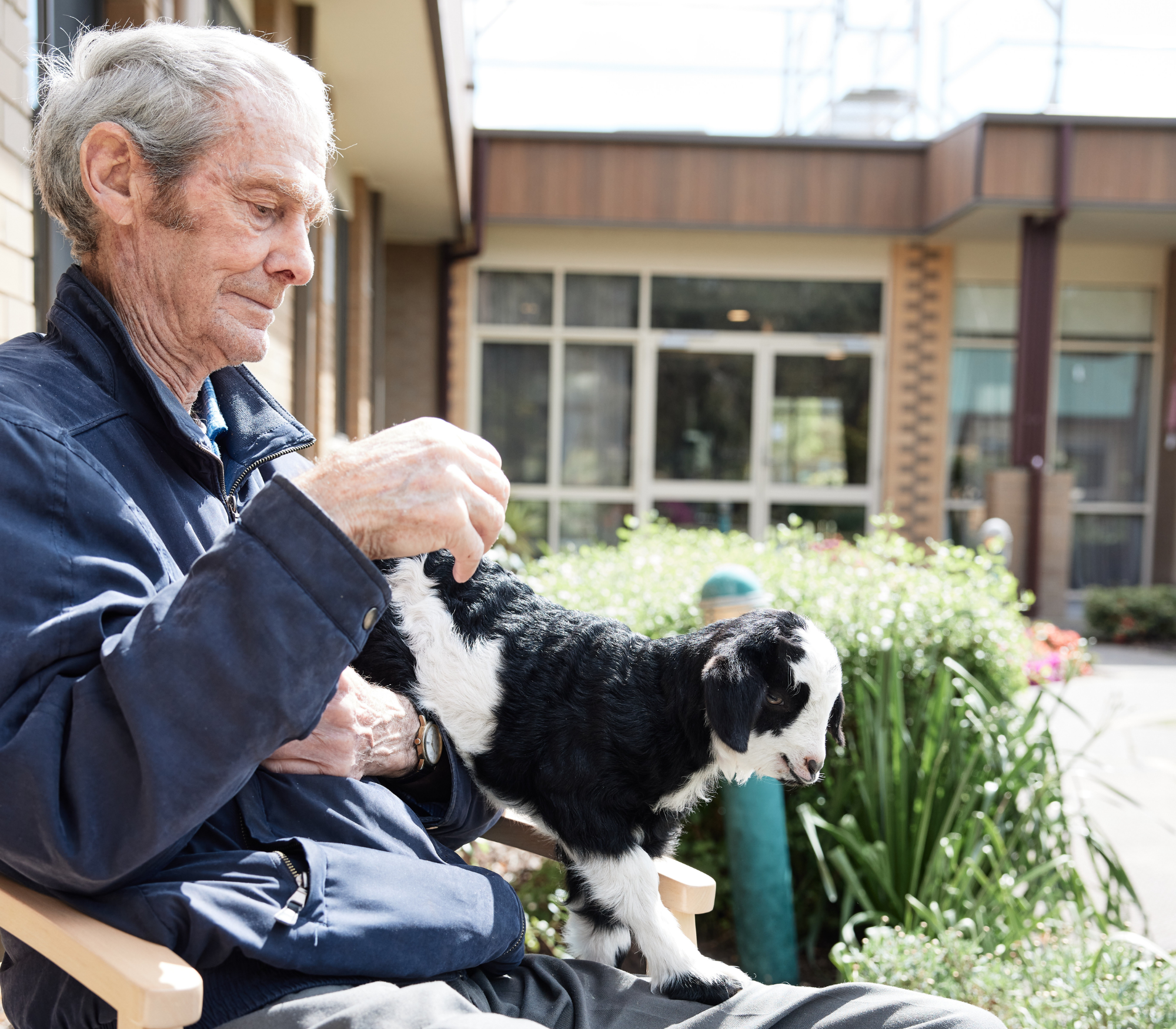 dementia-what is dementia-image