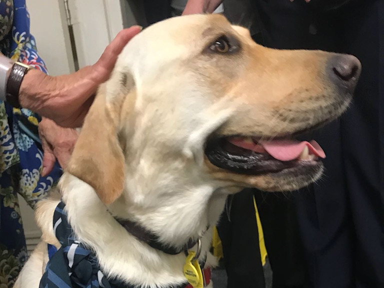 Dementia-Friendly-Photograph