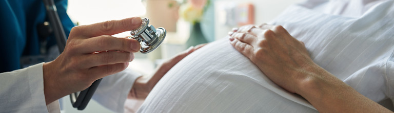 placeholder-obs team