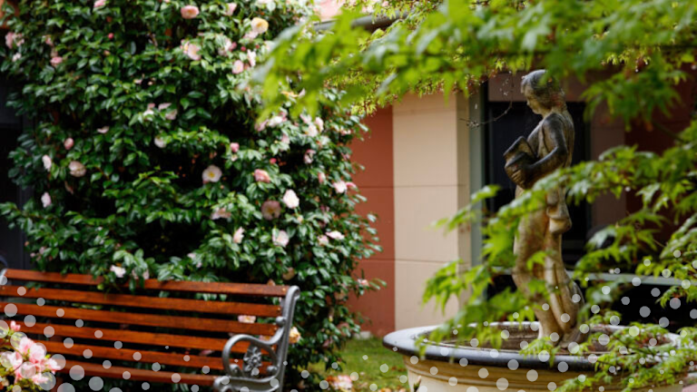 national-palliative care-Calvary St John's Hospital