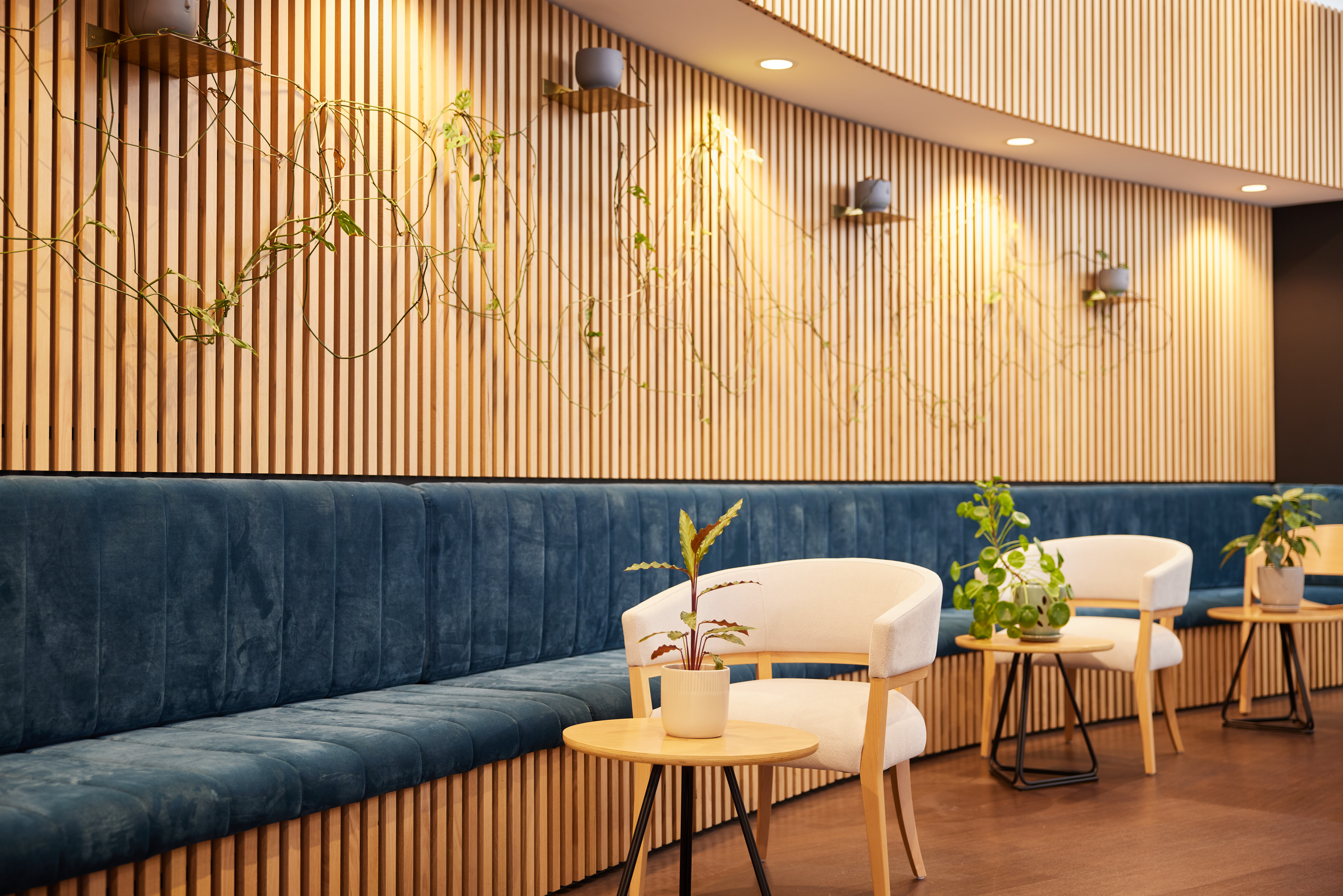 RAC-images-strezelecki house-07