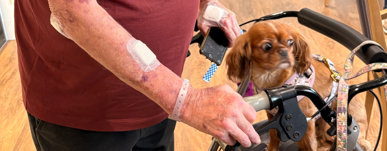 news-carousel image-volunteer-pet-therapy-at-calvary-kooyong-02