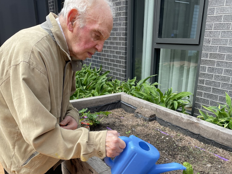 Picture-on-webpage-intro gardening