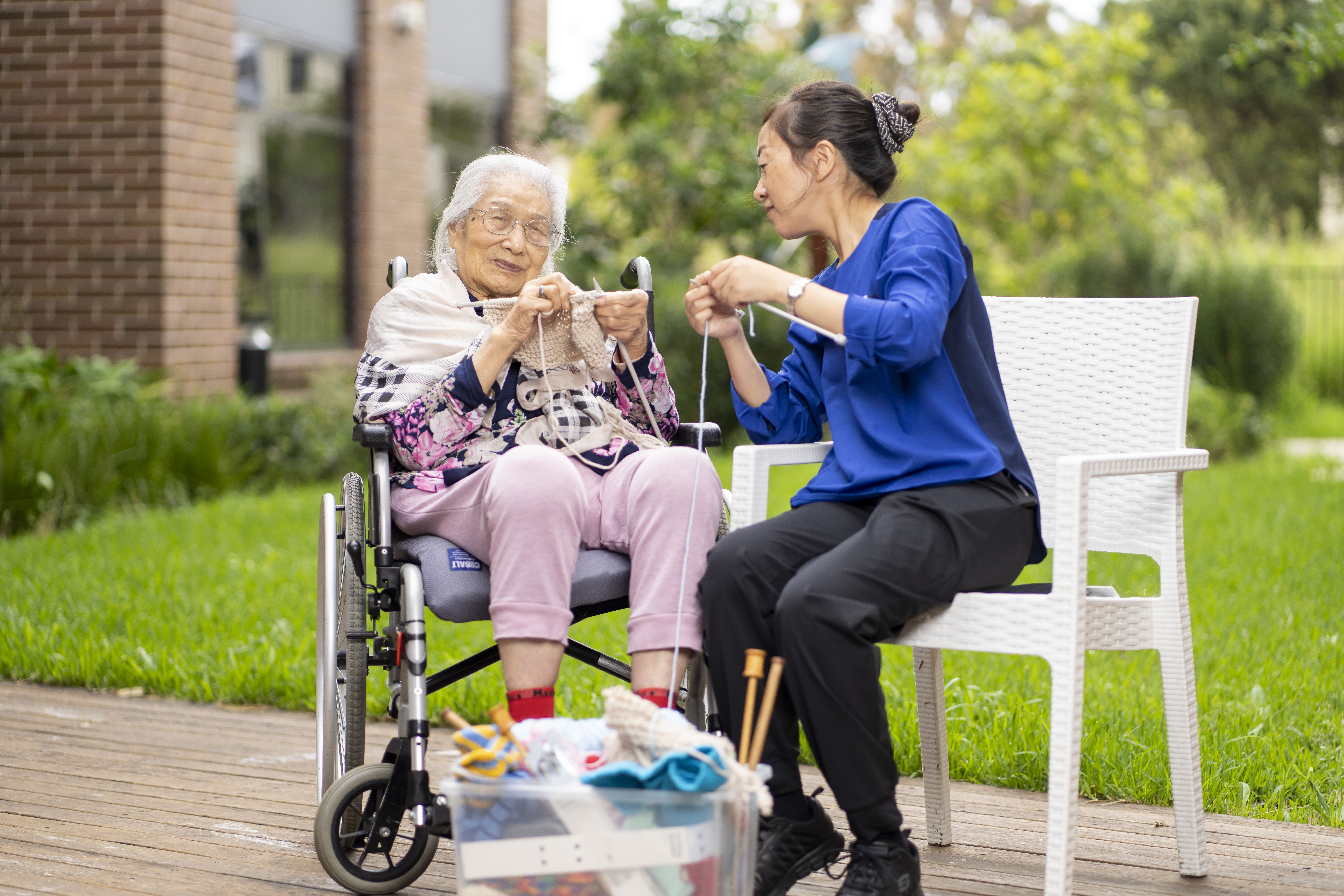 RAC-images-corymbia-04