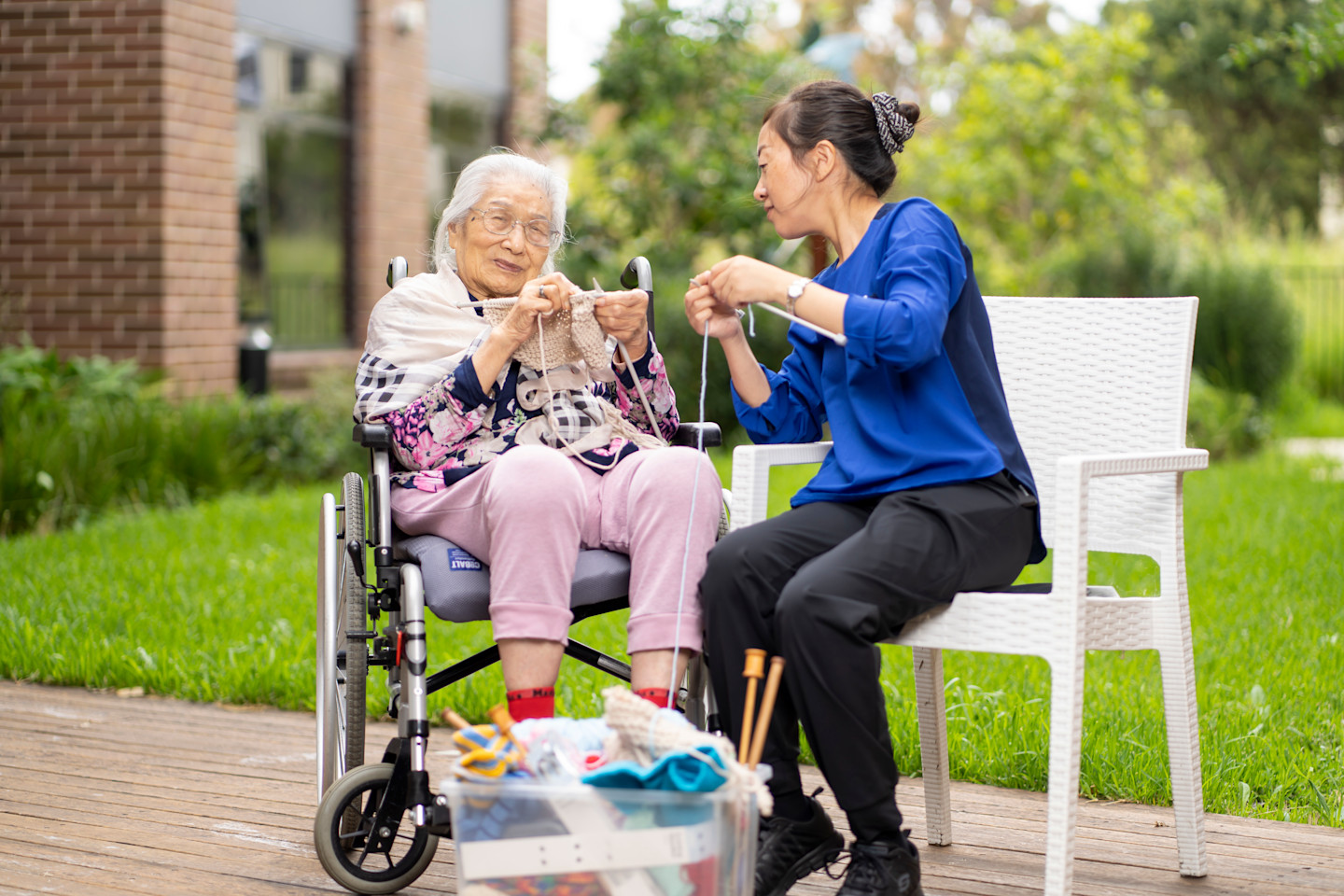 RAC-images-corymbia-04