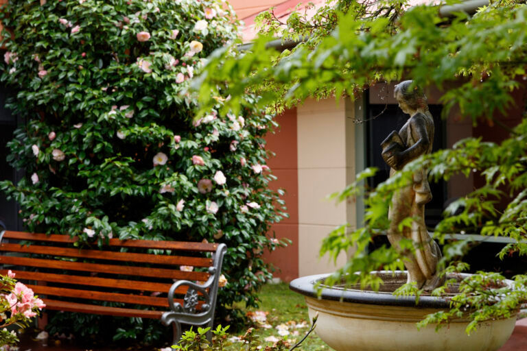 st johns-palliative care