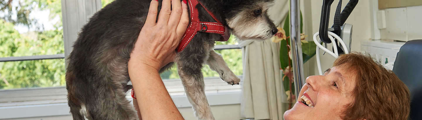 bethlehem-specialist palliative care