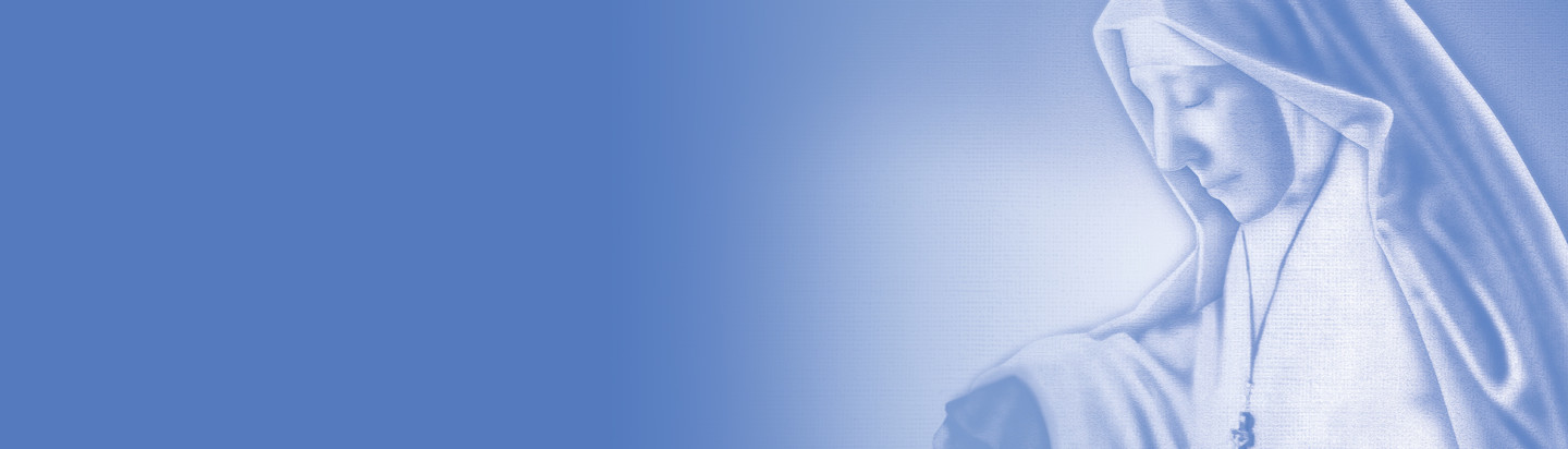 Mary-Potter-Web-Banner