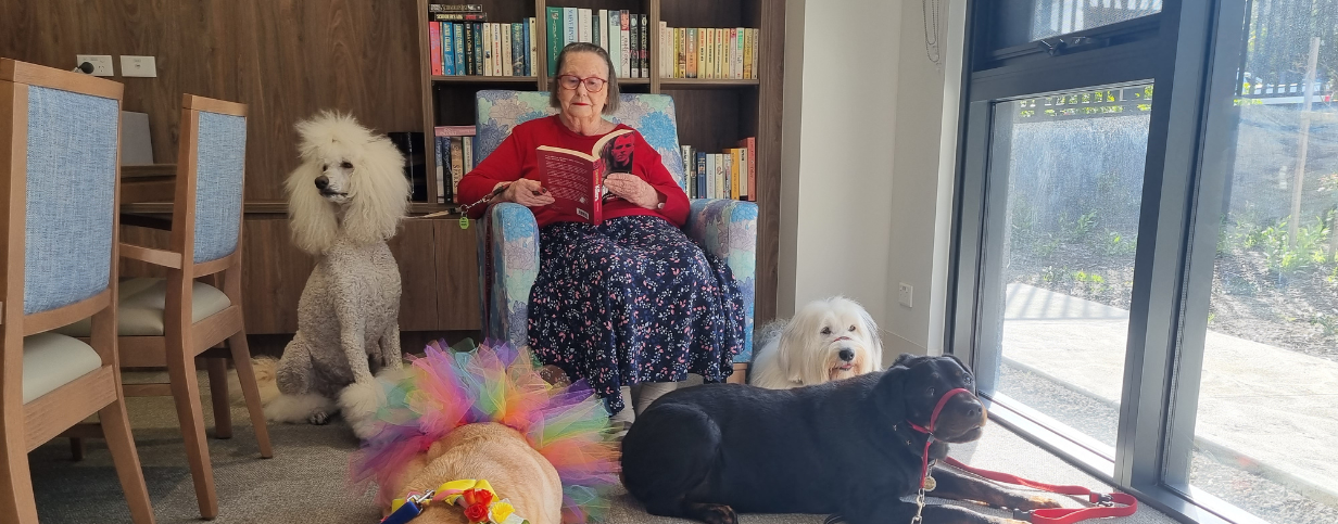 news-carousel image-volunteer-pet-therapy-at-calvary-kooyong-03