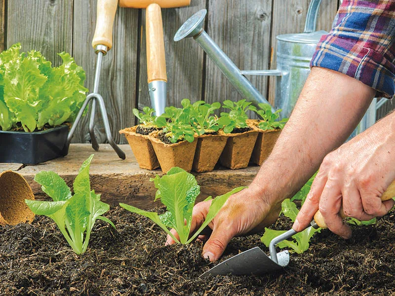 Blog Image blog_9375_iwfp_001