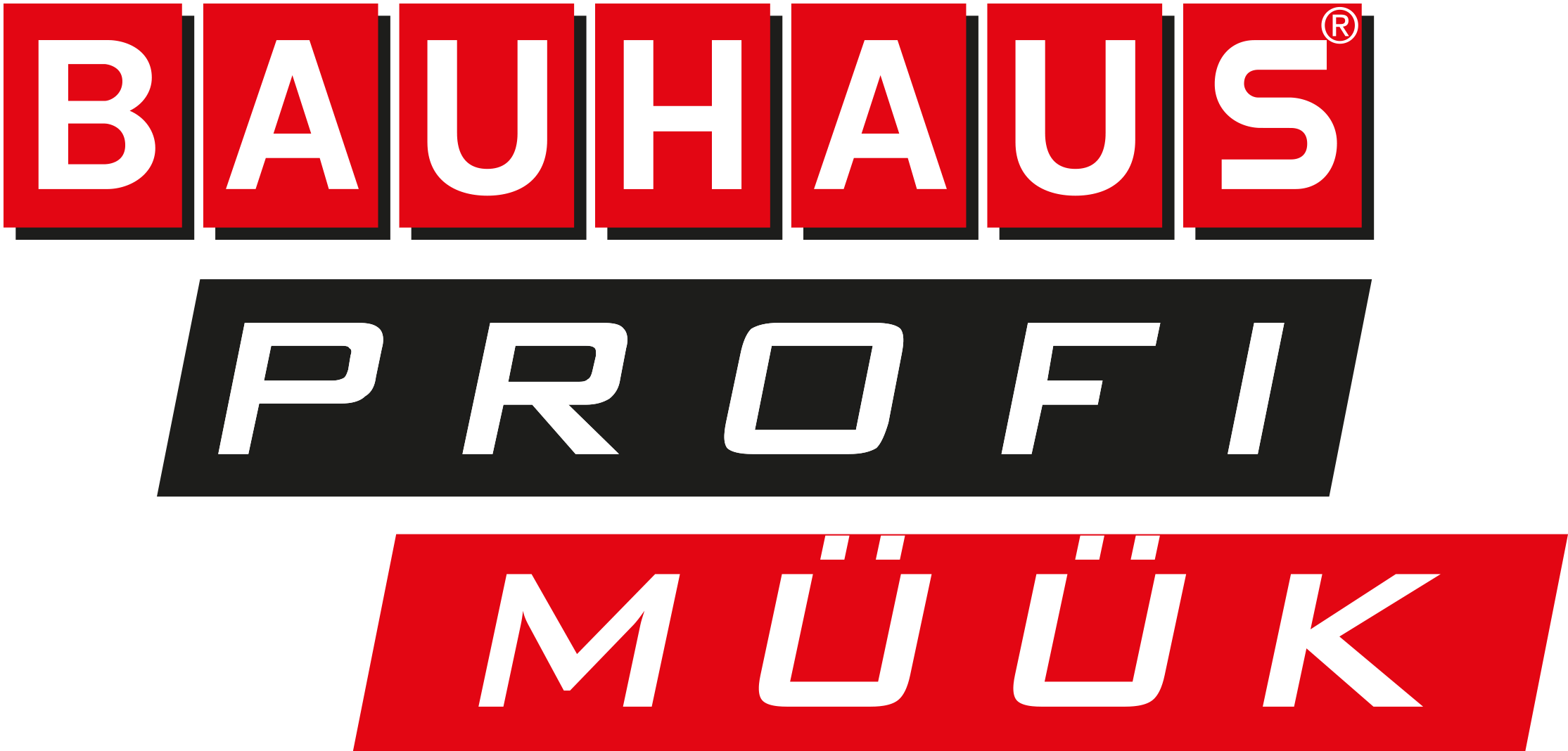 EE profimuuk logo NEW