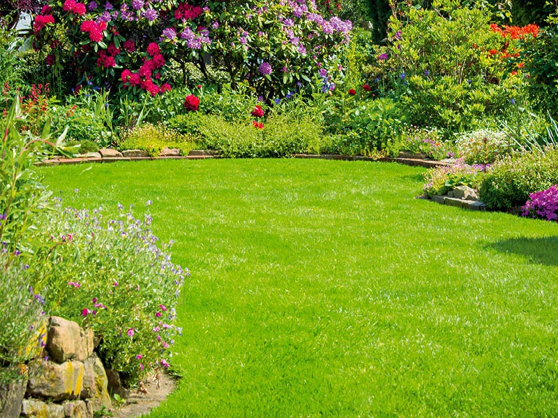 Blog Image blog_9407_iwfp_001