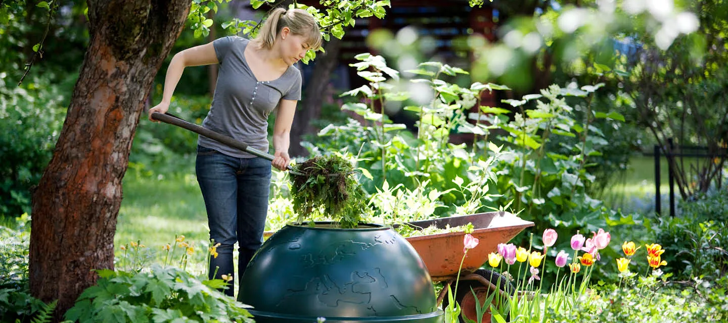 Blog Image blog_9353_iwfp_001