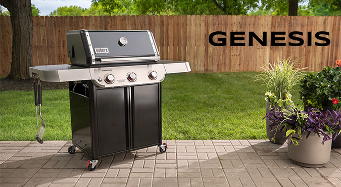 Genesis Series Image