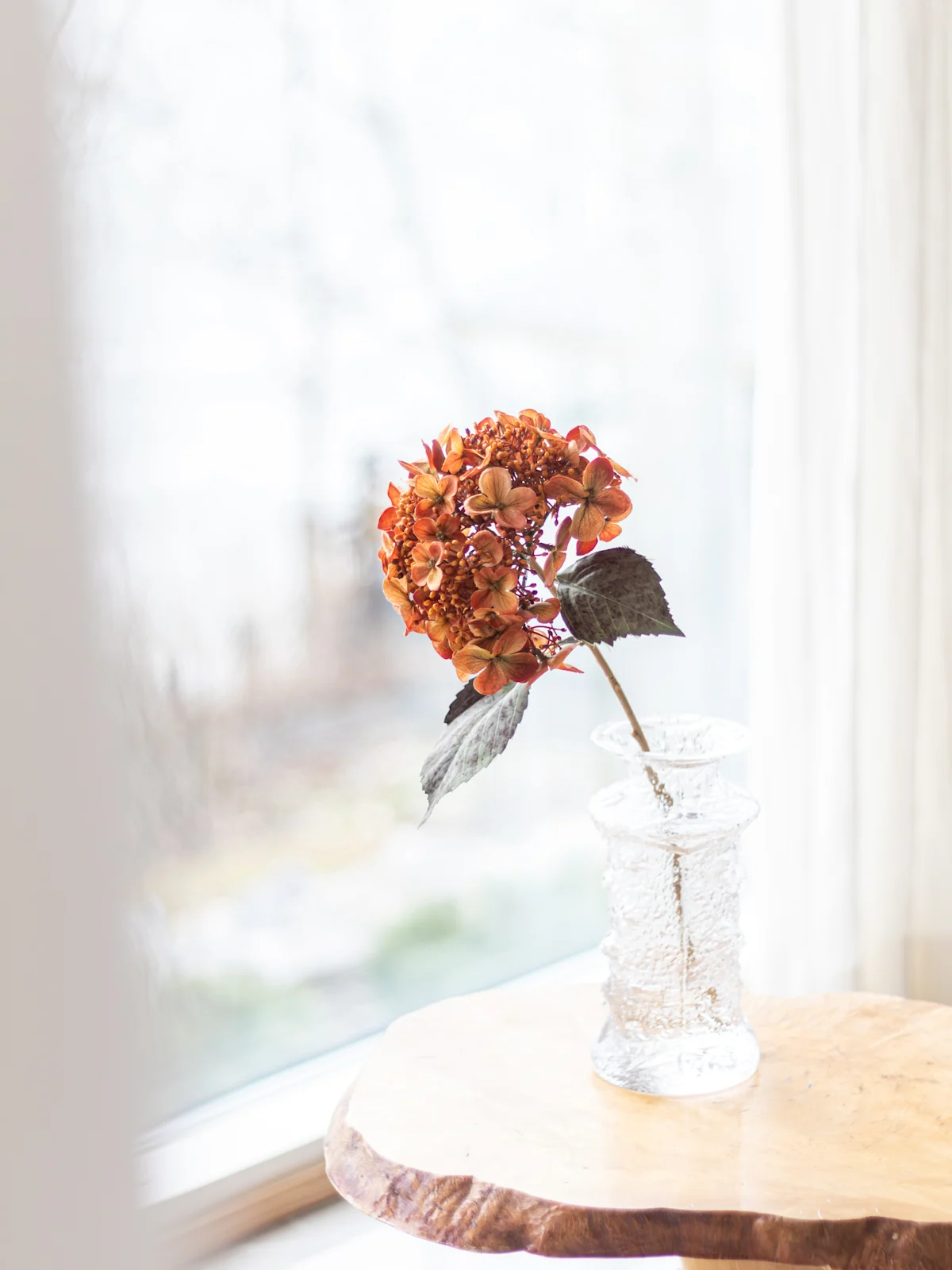 Tekokasvi Bloom Deco Hortensia oranssi 1675403