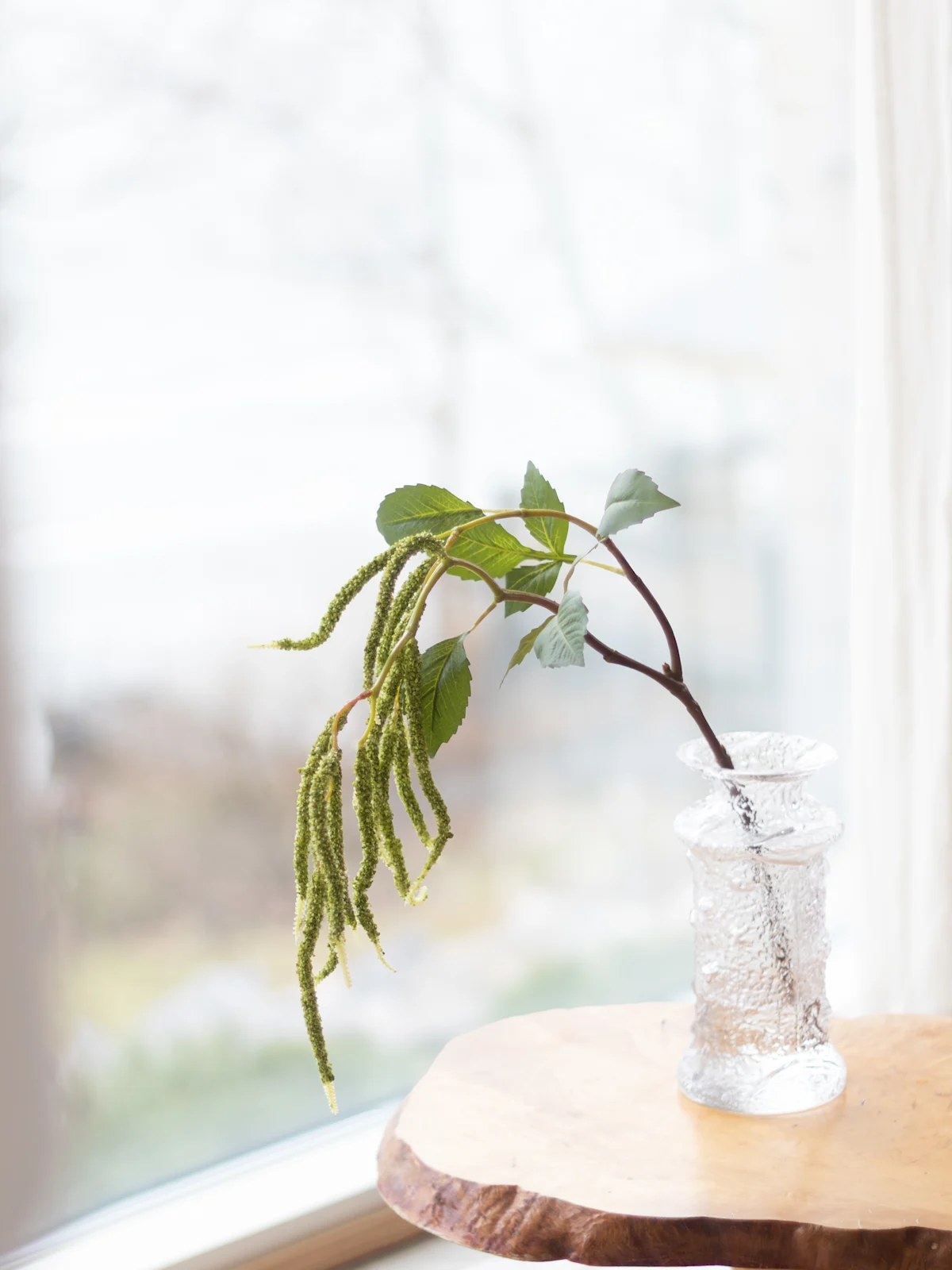 Tekokasvi Bloom Deco Amarantti vihreä 1675399