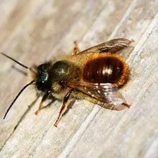 Blog Images blog_9541