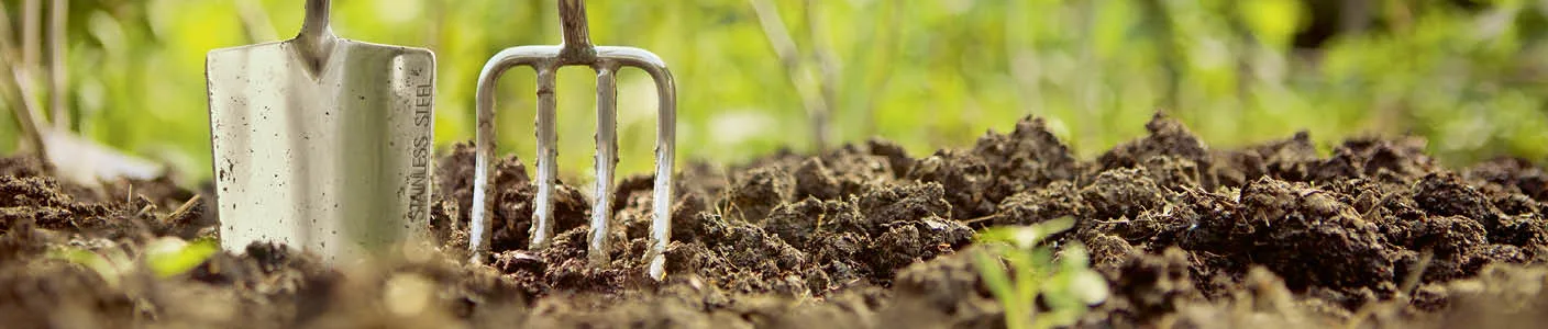 Blog Image blog_9247_iwfp_001