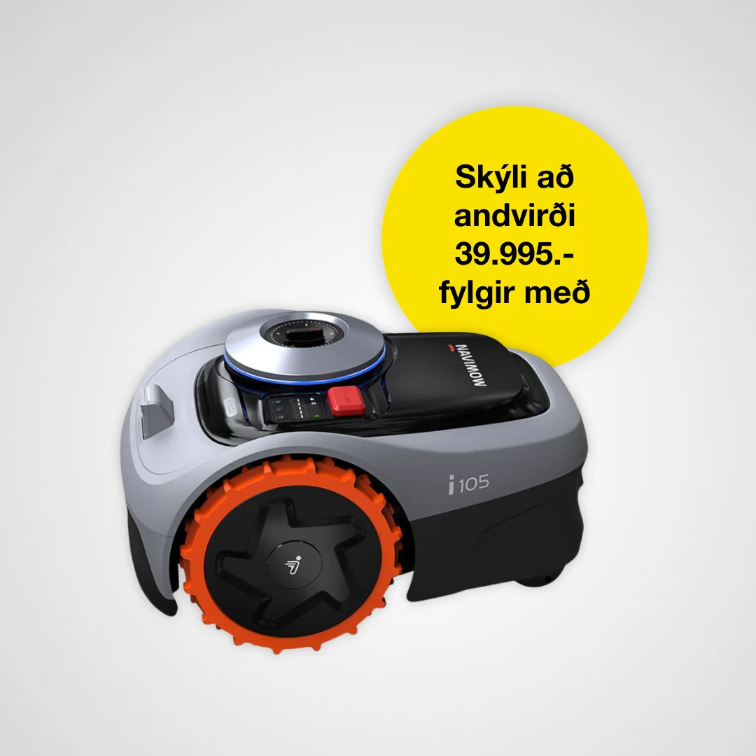 Segway 1462786 IS