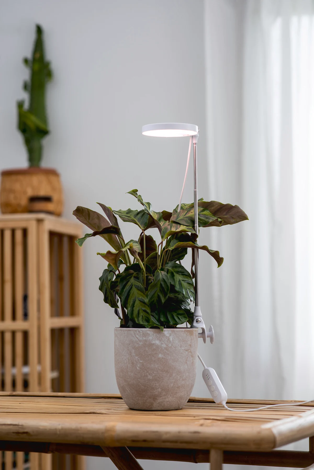 FI Image: LED-kasvivalaisin Airam Rose valkoinen 1560803