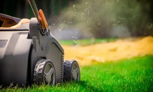 Lawn Moss Scarifier Tool