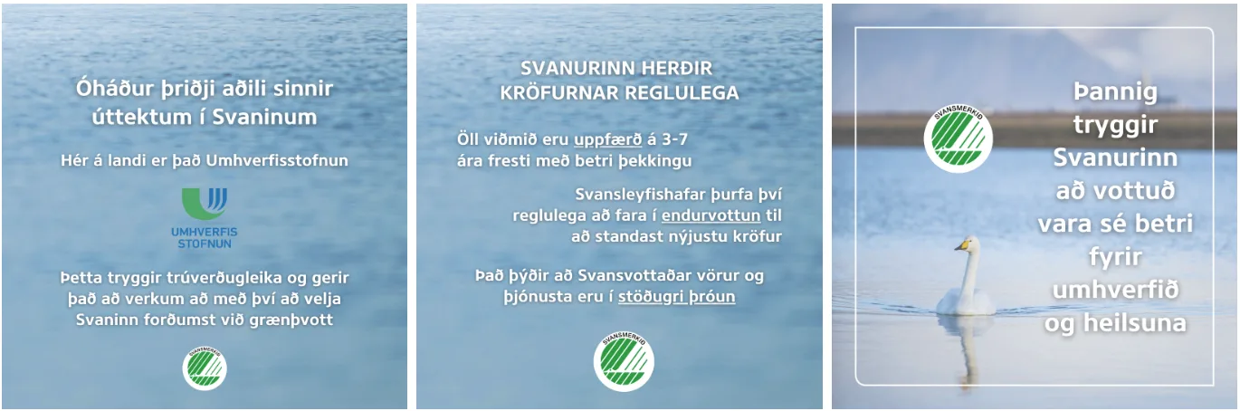 Info svanur