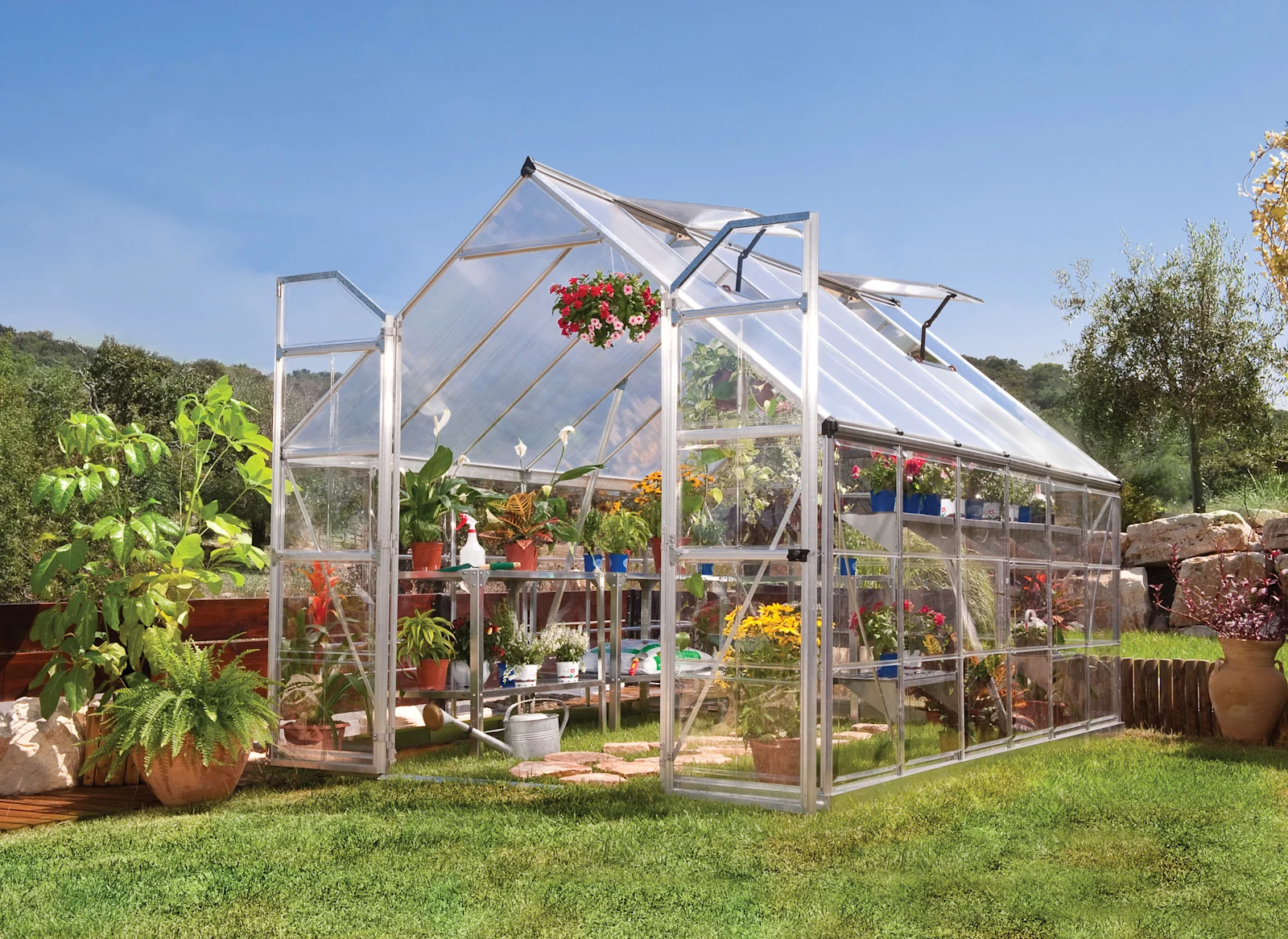 Blog_Image_plants