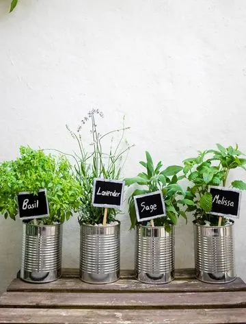 Blog Image blog_9467_iwfp_004