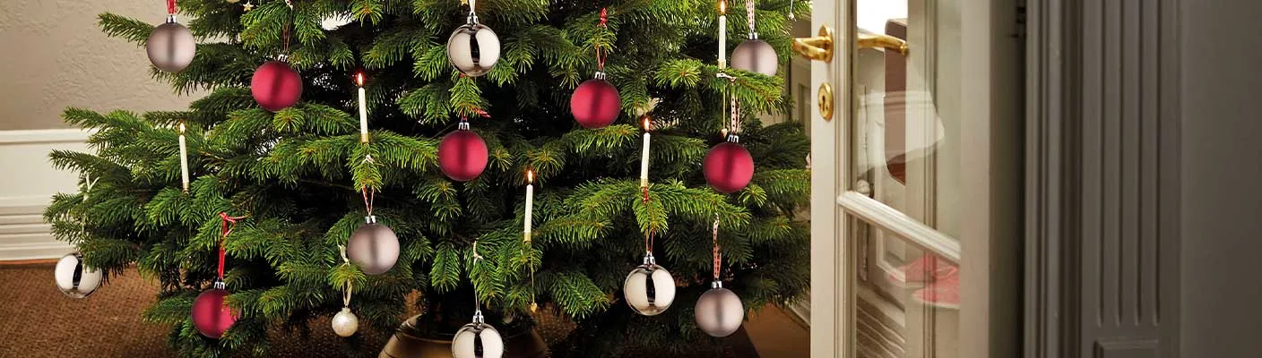 Blog Image blog_9239_iwfp_001