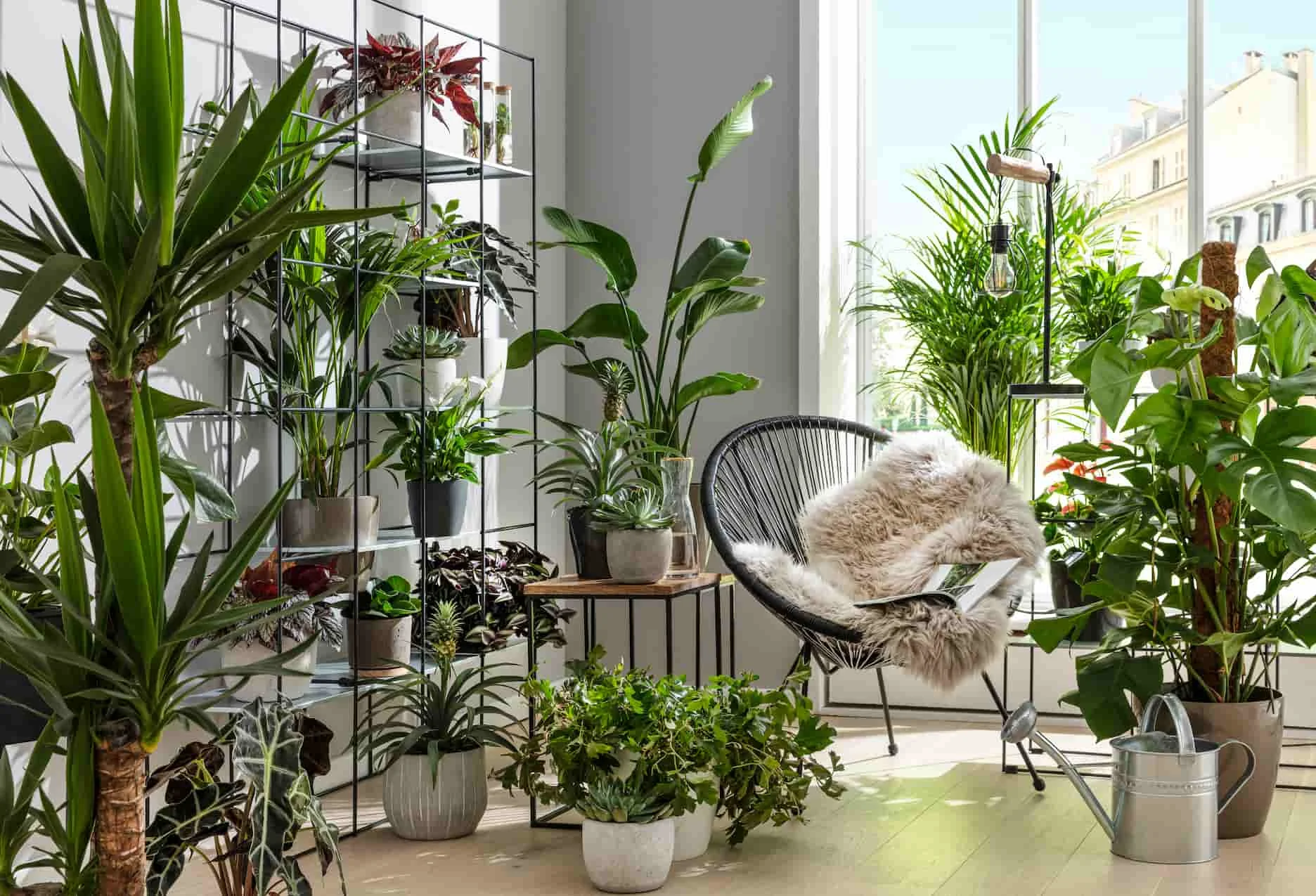 Blog Image blog_9299_iwfp_001